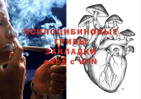 прущая мука Алзамай