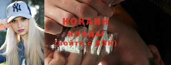 прущие грибы Магас