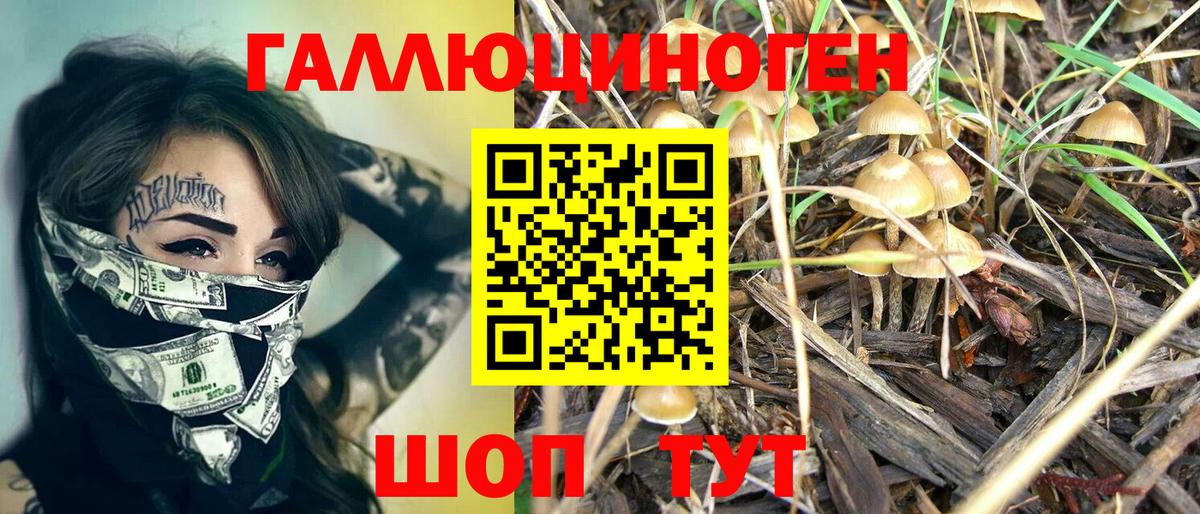 Галлюциногенные грибы MAGIC MUSHROOMS  Вход с VPN  Петропавловск-Камчатский  Галлюциногенные грибы Cubensis 